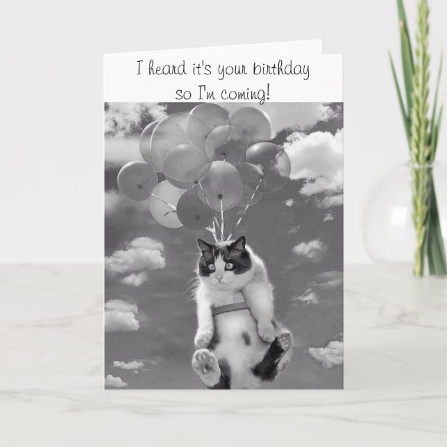 Birthday Card with flying Cat (Front)