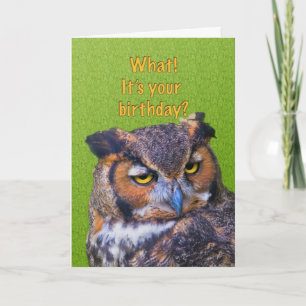Birthday Card with Great Horned Owl
