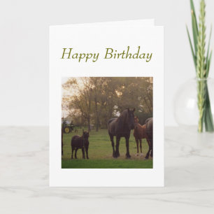 birthday card with horses and tractor