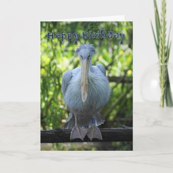 Birthday Card With Pelican by moonlake at Zazzle