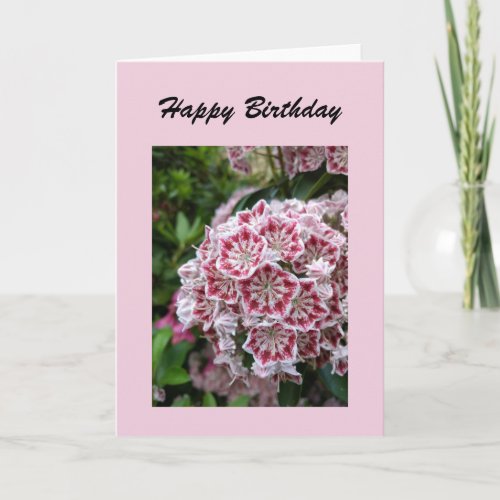 Birthday card with pink mountain laurel