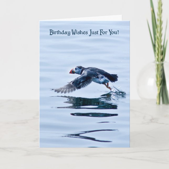 Birthday Card with Puffin (Front)