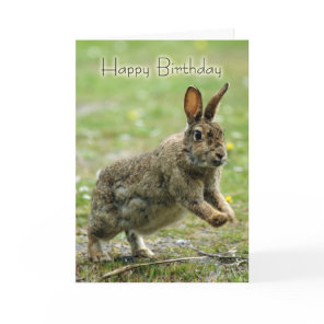 Birthday Card With Wild Rabbit