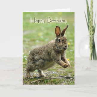 Birthday Card With Wild Rabbit