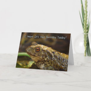 Birthday Card With Wild Toad Play On Words, Toaday