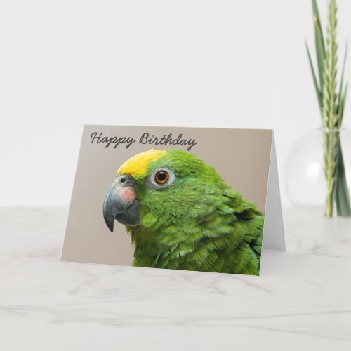 Birthday card Yellow Headed Amazon Parrot