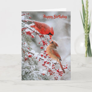 Birthday Cardinals with Red Berries in Winter Card