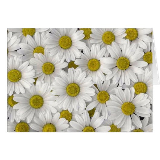 Birthday Cards (Front Horizontal)