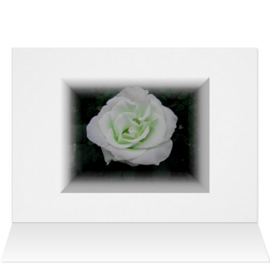 BIRTHDAY CARDS (Inside Horizontal (Top))