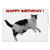 BIRTHDAY CARDS (Front Horizontal)