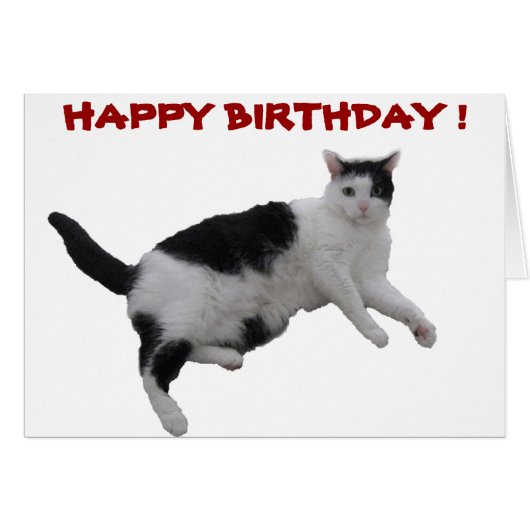 BIRTHDAY CARDS (Front Horizontal)