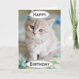 Birthday Cat Dad World's Best Ever Pet Photo Card