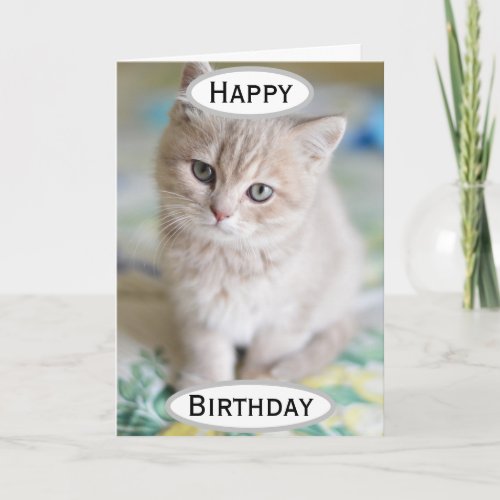 Birthday Cat Dad Worlds Best Ever Pet Photo Card