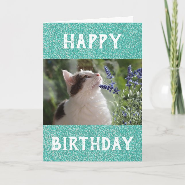 Birthday Cat Dad World's Best Ever Pet Photo Card (Front)