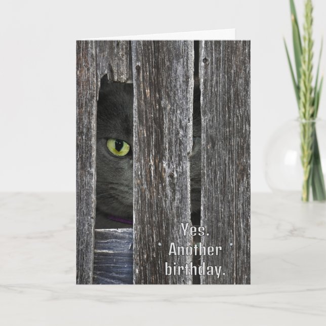 Birthday Cat Hiding Behind Barn Wood Card (Front)