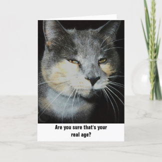 Birthday cat humor card
