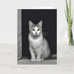 Birthday Cat in Doorway Card