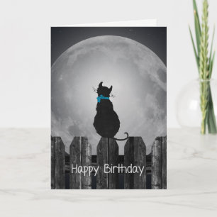 birthday cat in moonlight card