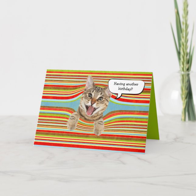 Birthday cat in stripes card (Front)