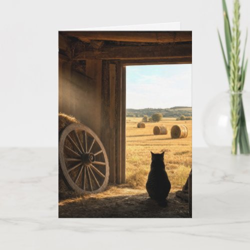 Birthday Cat in Sunny Barn Doorway Card
