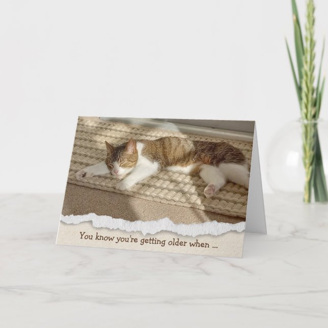 Birthday Cat Napping in Sunlight Holiday Card (Front)