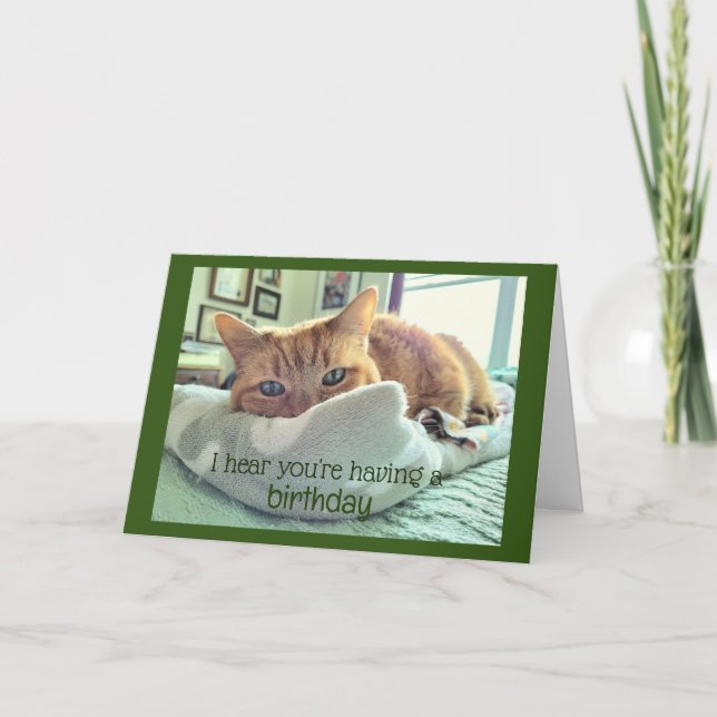 Birthday Cat Naps  Card (Front)