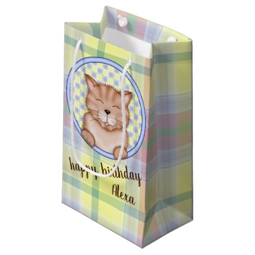 birthday cat on plaid with personal name small gift bag