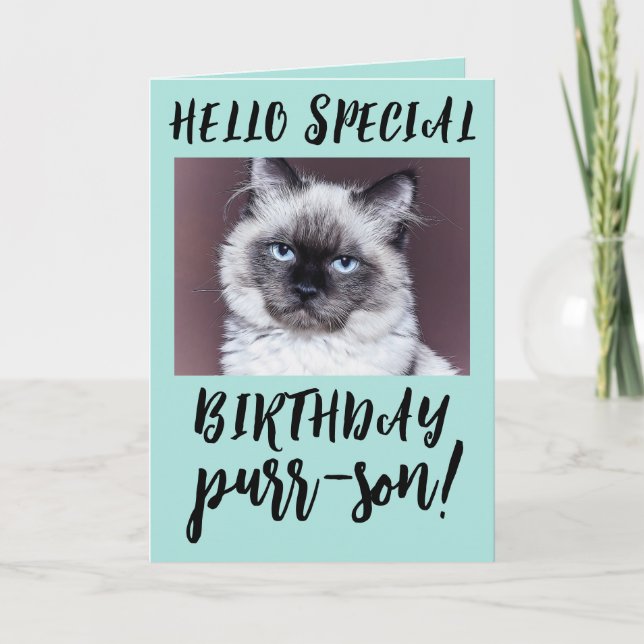  BIRTHDAY CAT SIAMESE PERSIAN GREETING CARD (Front)