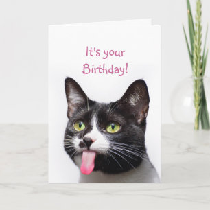 Birthday Cat Sticking out Tongue Funny Humor Card