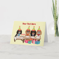 Birthday Cavalier King Charles Spaniel