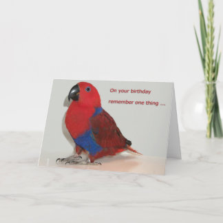 Birthday Chew Toys Card