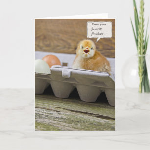 Birthday Chick for Dad Card