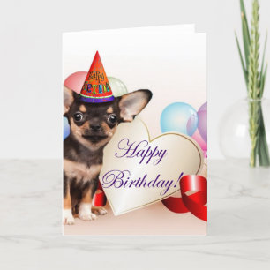 Birthday Chihuahua dog Card