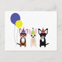 birthday-chihuahuas-stelieandco