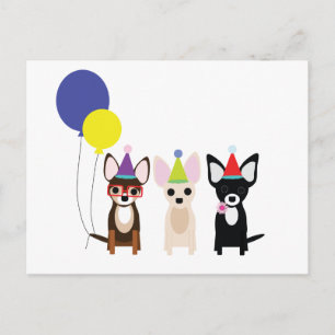 birthday-chihuahuas-stelieandco postcard