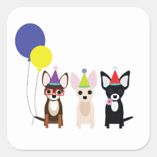 birthday-chihuahuas-stelieandco square sticker