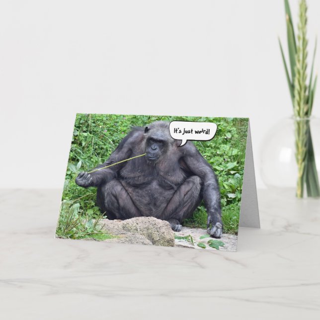 Birthday Chimpanzee getting older humor Card (Front)