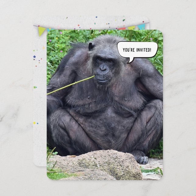 Birthday Chimpanzee party invite (Front/Back)