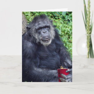 Birthday Chimpanzee with Red Cup Letterpress Thank You Card