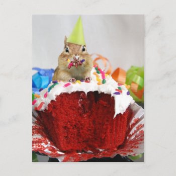 Birthday Chipmunk Postcard by Meg_Stewart at Zazzle
