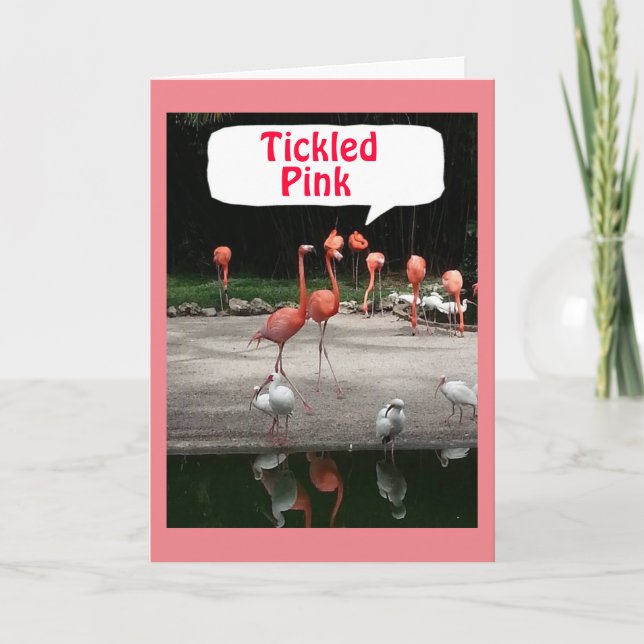 BIRTHDAY COMPLIMENT FLAMINGOS ARE "TICKLED PINK" CARD (Front)