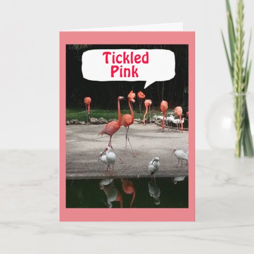 BIRTHDAY COMPLIMENT FLAMINGOS ARE TICKLED PINK CARD