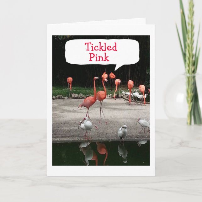 BIRTHDAY COMPLIMENT FLAMINGOS ARE "TICKLED PINK" CARD (Front)