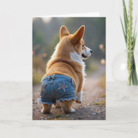 Birthday Corgi Dog Wearing Blue Jean Shorts