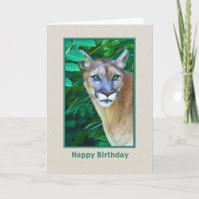 Birthday, Cougar in the Jungle Card (Front)