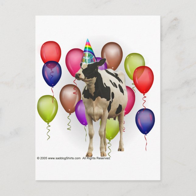 Birthday Cow Theme Party Postcard (Front)
