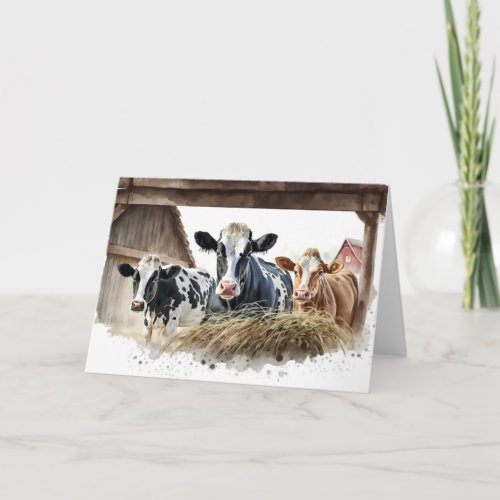 Birthday Cows With Hay