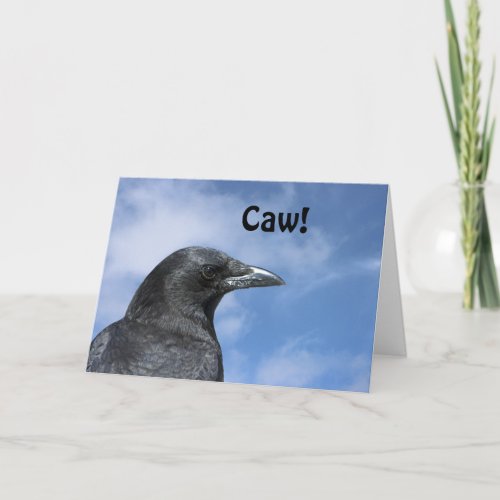 Birthday Crow Card