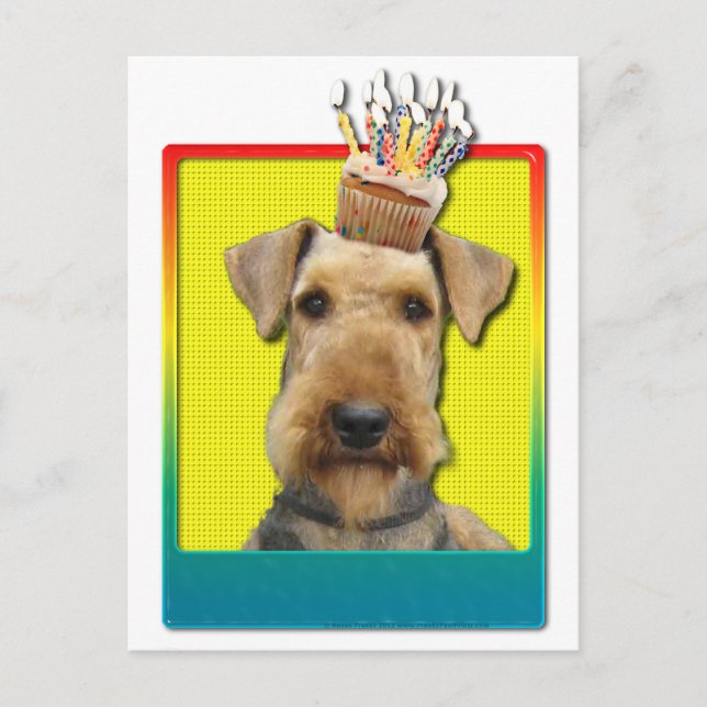 Birthday Cupcake - Airedale Postcard (Front)