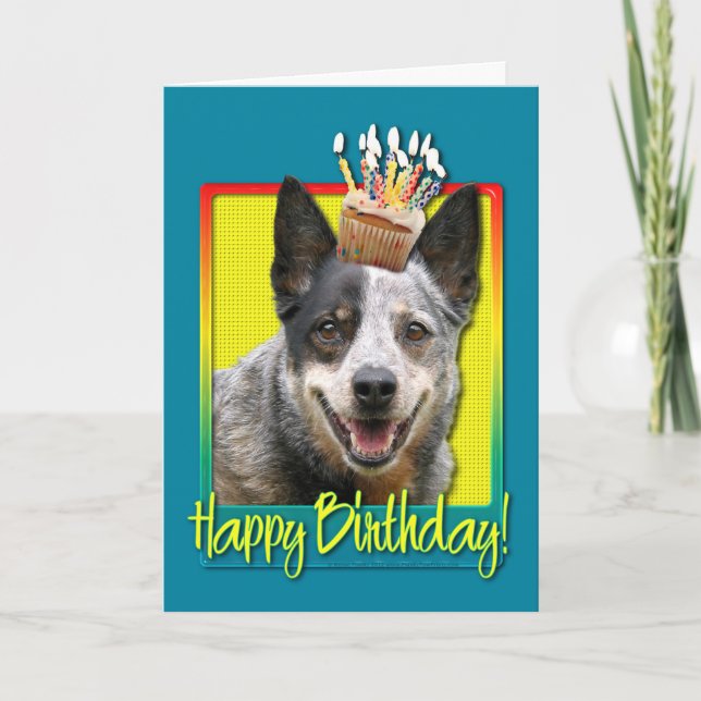 Birthday Cupcake - Australian Cattle Dog Card (Front)